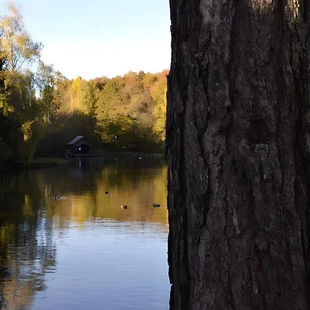 Avec Vue Sur Le Angoisse
